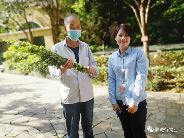 株株“愛意”（艾葉）草”，綿綿情意長(zhǎng)