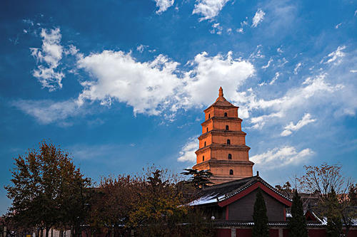 賞曲江美景，體驗(yàn)中國(guó)年