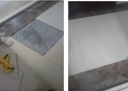 1734517072552.jpg